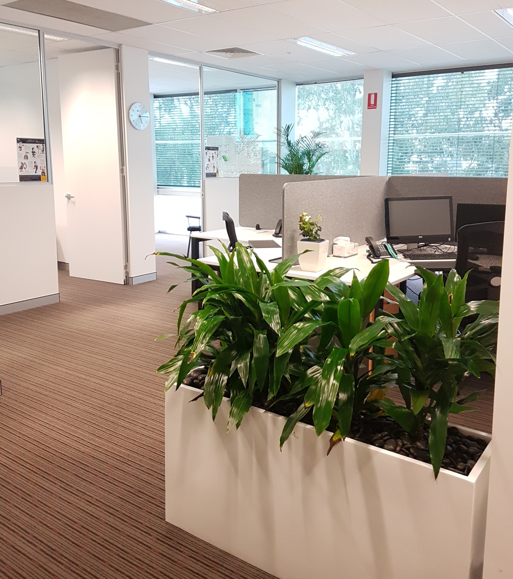 New Perth Office! NAATI
