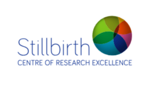 Stillbirth prevention resources for interpreters